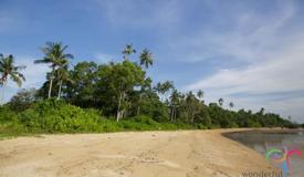 adventure-training-camp-bintan-riau-island-3.jpg