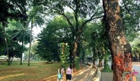 suropati-park-jakarta.jpg