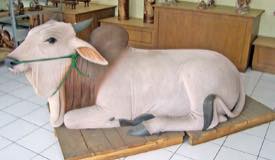 gallery/bojonegoro/craft-woodcarving-bojonegoro-2.jpg