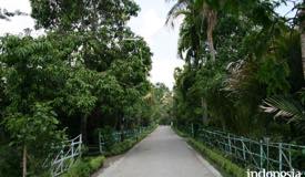 gallery/bojonegoro/salak-wedi-bojonegoro-1.jpg