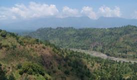 gallery/bondowoso/arak-arak-scenery-bondowoso-3.jpg