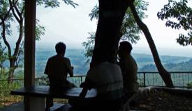 gallery/bondowoso/arak-arak-scenery-bondowoso-5.jpg