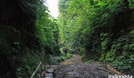 gallery/bondowoso/belawan-waterfall-bondowoso-4.jpg