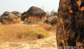 gallery/gresik/bukit-jamur-gresik-2.jpg