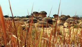 gallery/gresik/bukit-jamur-gresik-3.jpg