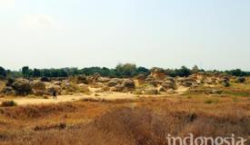gallery/gresik/bukit-jamur-gresik-5.jpg