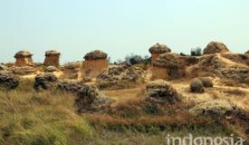gallery/gresik/bukit-jamur-gresik-6.jpg