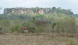 gallery/gresik/bukit-surowiti-gresik.jpg