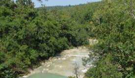gallery/nganjuk/grojogan-dhuwur-sumbermiri-2.jpg