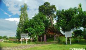 gallery/nganjuk/lor-temple-nganjuk-2.jpg