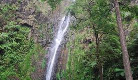 gallery/nganjuk/sedudo-waterfall-2.jpg