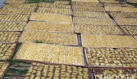 gallery/sidoarjo/culinary-shrimp-crackers-2.jpg