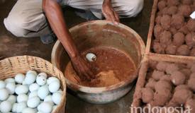 gallery/sidoarjo/kampung-bebek-sidoarjo-2.jpg