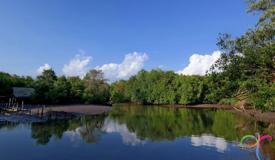 alas-purwo-national-park-banyuwangi-1.jpg