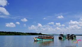 alas-purwo-national-park-banyuwangi-14.jpg