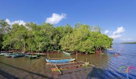 alas-purwo-national-park-banyuwangi-2.jpg