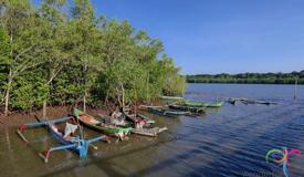 alas-purwo-national-park-banyuwangi-3.jpg
