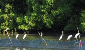 alas-purwo-national-park-banyuwangi-4.jpg