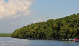 alas-purwo-national-park-banyuwangi-5.jpg