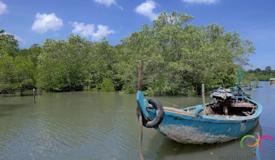 alas-purwo-national-park-banyuwangi-7.jpg
