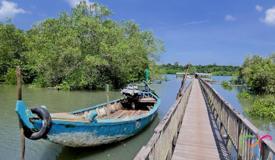 alas-purwo-national-park-banyuwangi-8.jpg