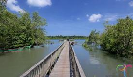 alas-purwo-national-park-banyuwangi-9.jpg