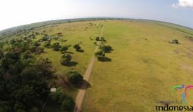 baluran-national-park-east-java-1.jpg
