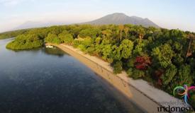 baluran-national-park-east-java-2.jpg