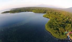 baluran-national-park-east-java-3.jpg