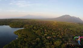 baluran-national-park-east-java-4.jpg