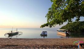 bama-beach-baluran-situbondo-east-java-1.jpg