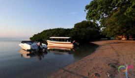 bama-beach-baluran-situbondo-east-java-3.jpg