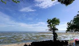 g-land-surf-banyuwangi-east-java-1.jpg