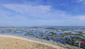 g-land-surf-banyuwangi-east-java-2.jpg
