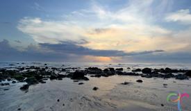 g-land-surf-banyuwangi-east-java-3.jpg