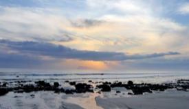 g-land-surf-banyuwangi-east-java-4.jpg
