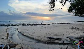 g-land-surf-banyuwangi-east-java-5.jpg