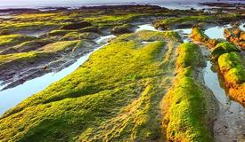 pancer-beach-banyuwangi-east-java.jpg