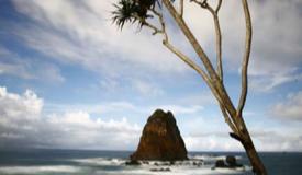 papuma-beach-jember-east-java-1.jpg