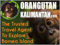 borneo eco tours