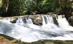 Central Kalimantan