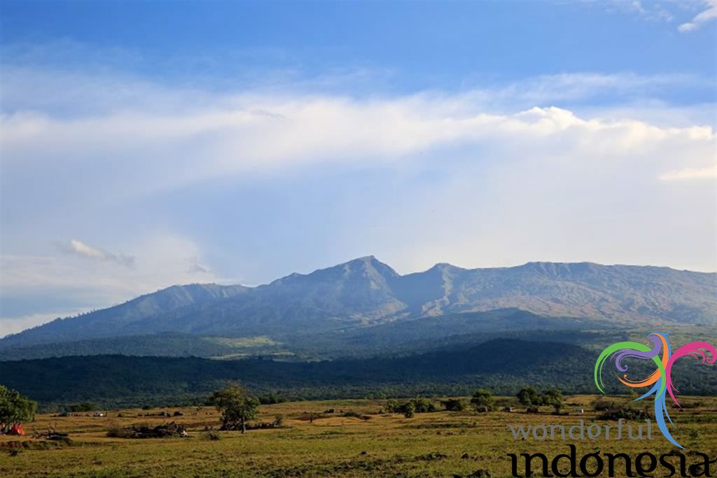 Ouest Nusa Tenggara Tourisme Galerie De Photo Mount Tambora Sumbawa 