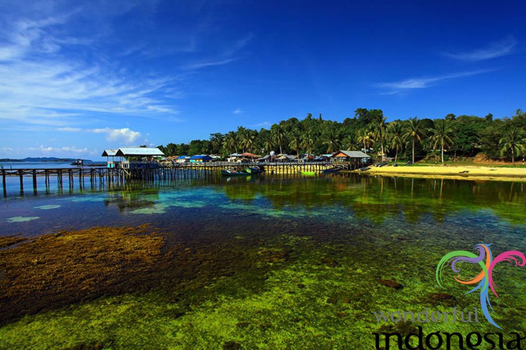 Masool Raja Island Ouest Papua - le Tourisme d'Irian Jaya D'ouest - Galerie de Photo ...
