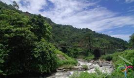 tamn-hutan-raya-bung-hatta-west-sumatra-1.jpg