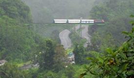 tamn-hutan-raya-bung-hatta-west-sumatra-2.jpg