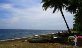 kenari-island-north-maluku-1.jpg