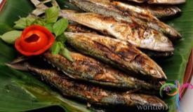 beta-restaurant-ambon-maluku-11.jpg