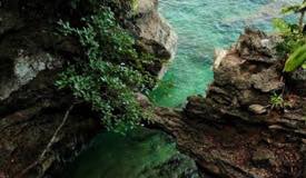 karang-liliboi-ambon-maluku-1.jpg
