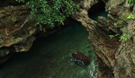 karang-liliboi-ambon-maluku-2.jpg