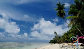 walena-beach-ambon-maluku-3.jpg